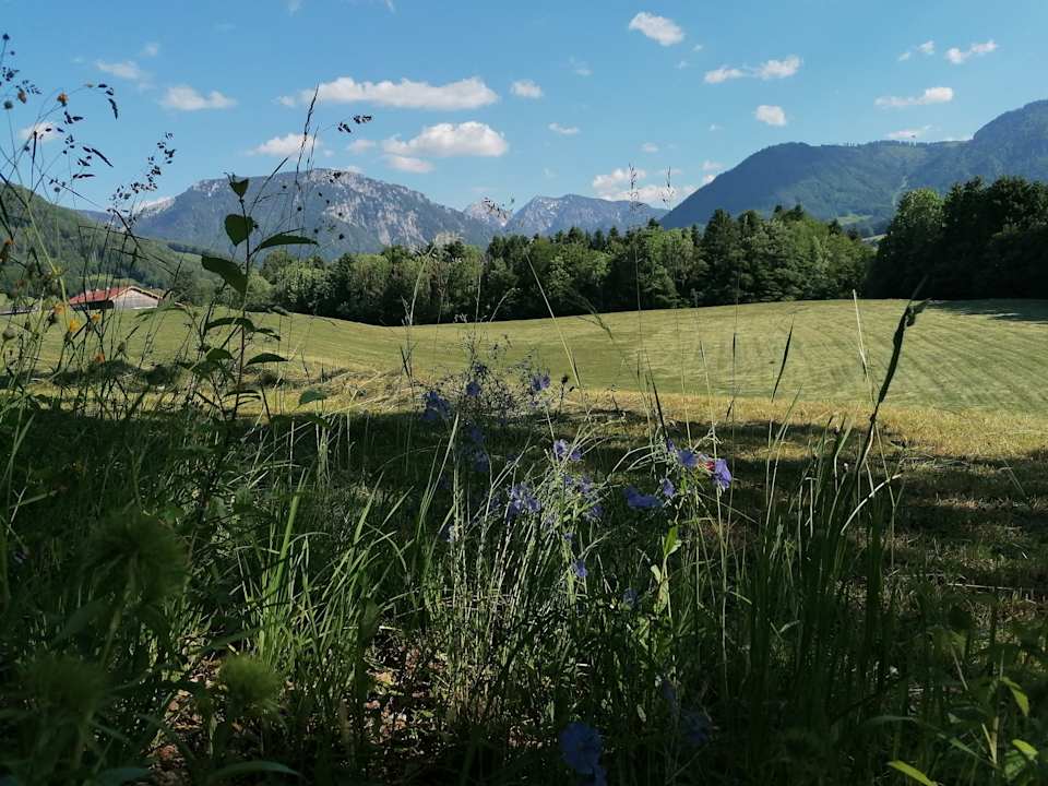 Ausblick Ferienwohnungen Matheishof