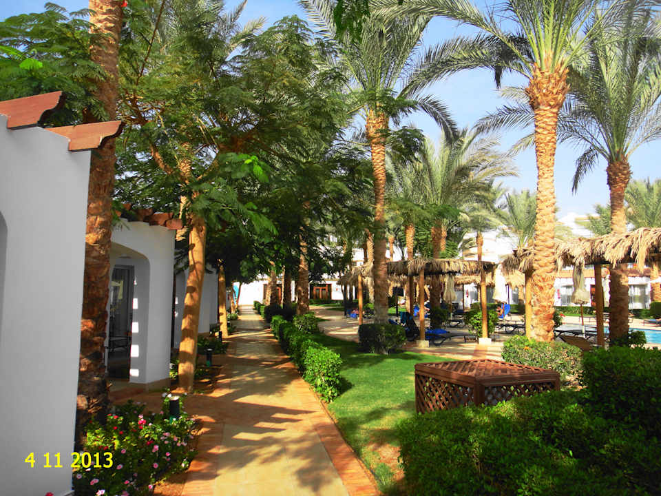 Пейзаж JAZ Fanara Resort