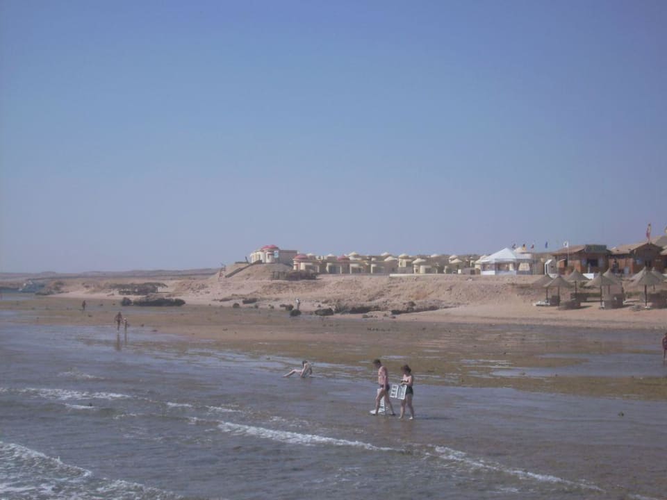 Meer Serenity Alpha Beach