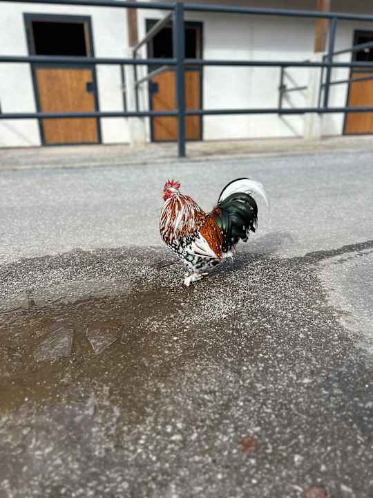 Gartenanlage POST Family Resort