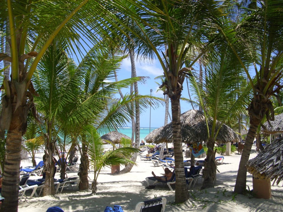 Blick von Traumstrand Grand Palladium Select Bávaro Resort & Spa