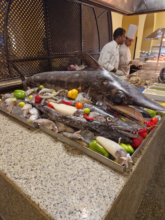 Gastro Hotel JAZ Makadi Star & Spa