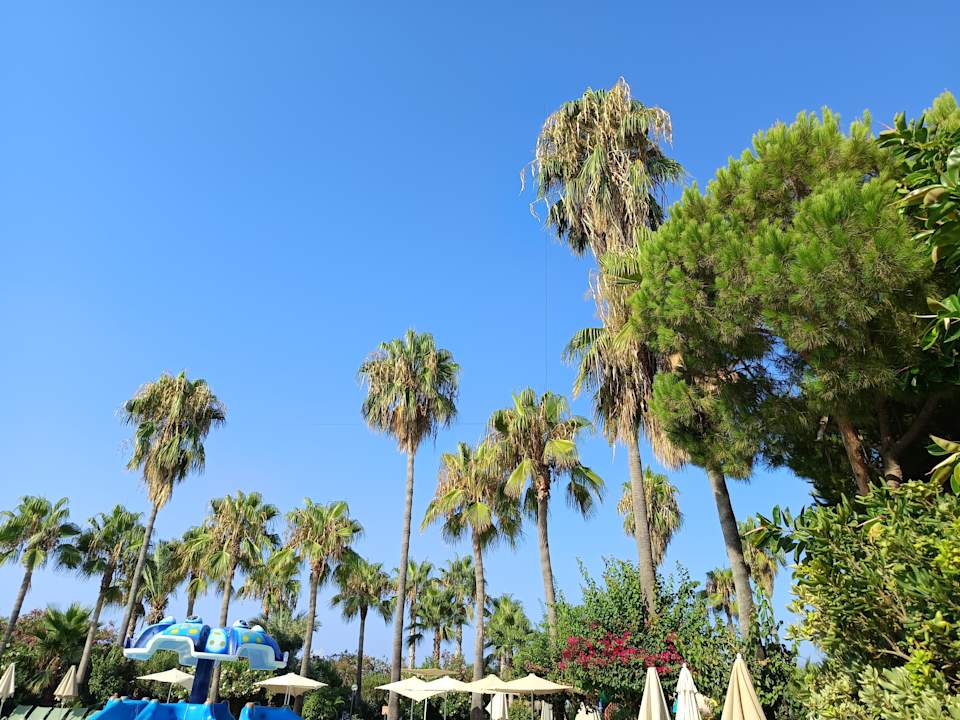 Gartenanlage MC Beach Park Resort Hotel