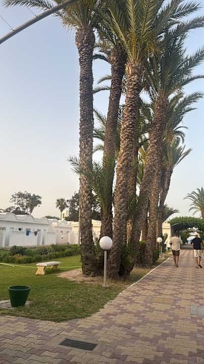 Gartenanlage El Mouradi Club Kantaoui