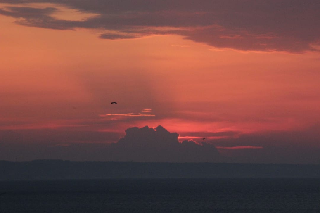 Sonnenaufgang GRIFID Vistamar