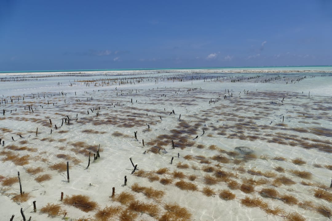 Strand Reef & Beach Resort