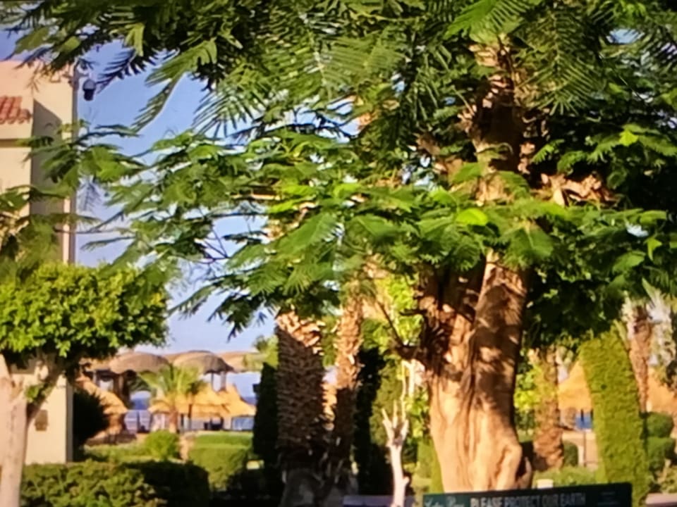 Außenansicht Lotus Bay Beach Resort