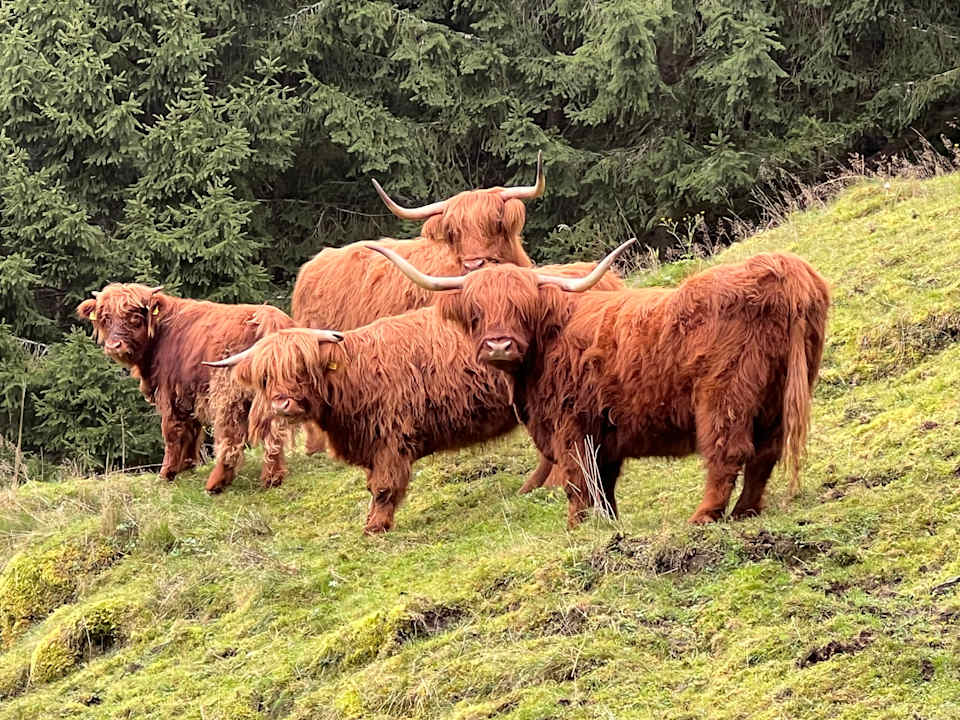 Außenansicht Talhof in Kärnten