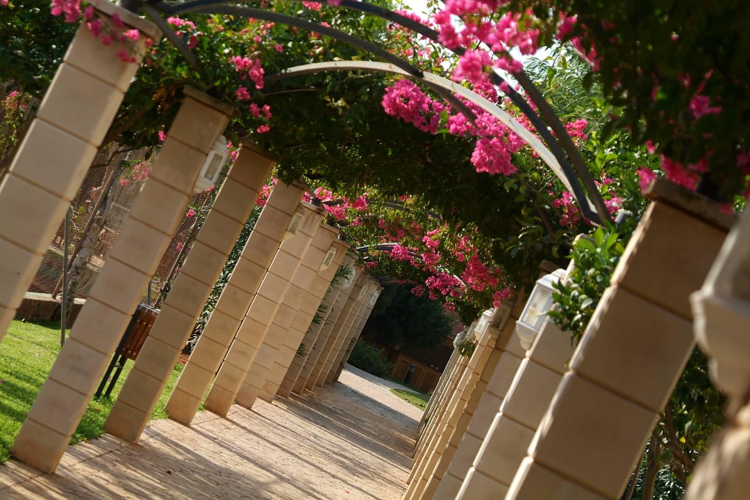 Garten Protur Floriana Resort Aparthotel