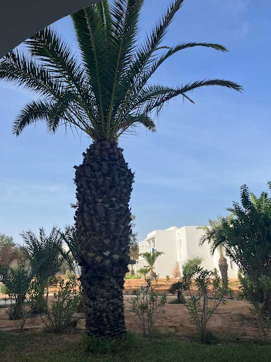 Ausblick Iliade Aqua Park Djerba