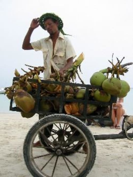 Getränkehändler whala!boca chica