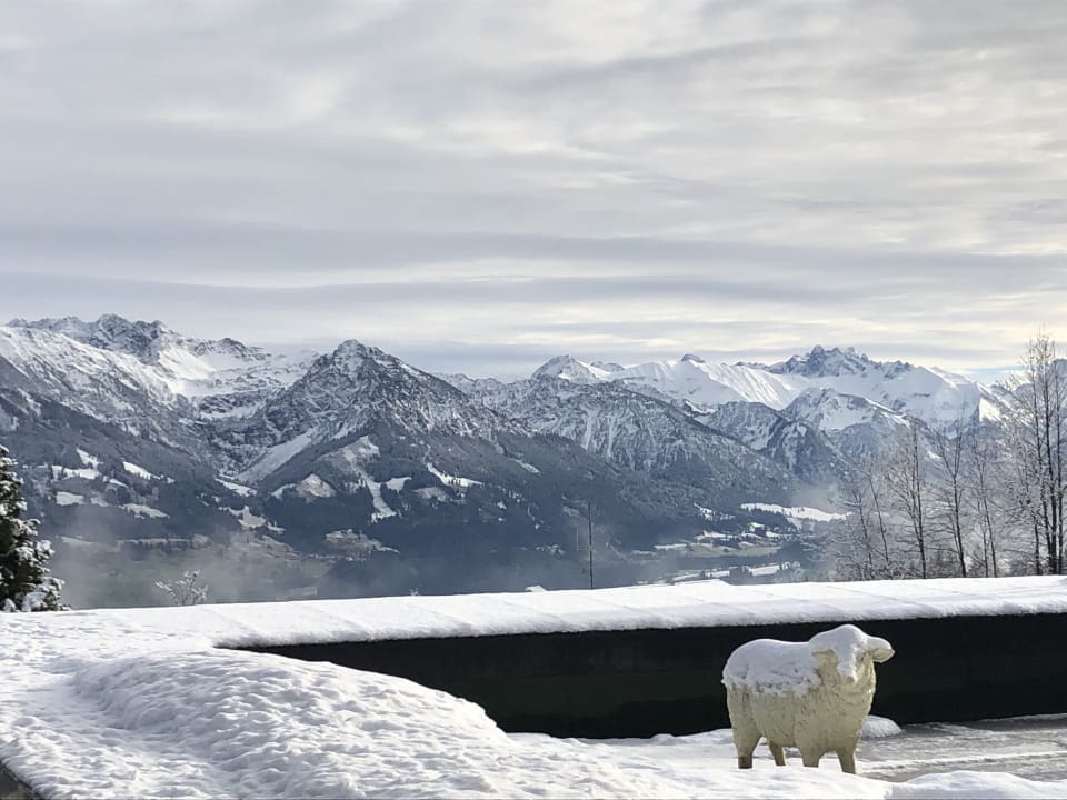 Ausblick Familotel Allgäuer Berghof