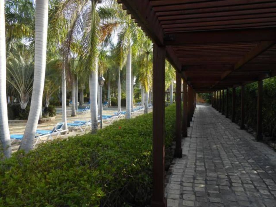 Weg zum Pool Villas Bavaro Resort & Spa