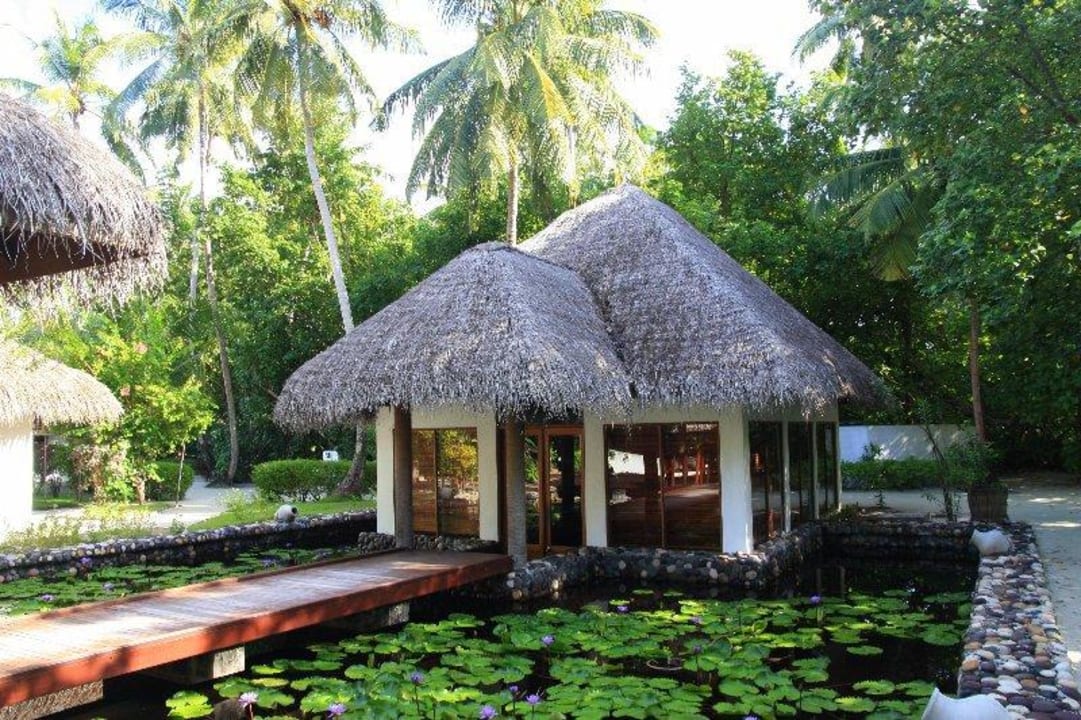 Bücherei Filitheyo Island Resort