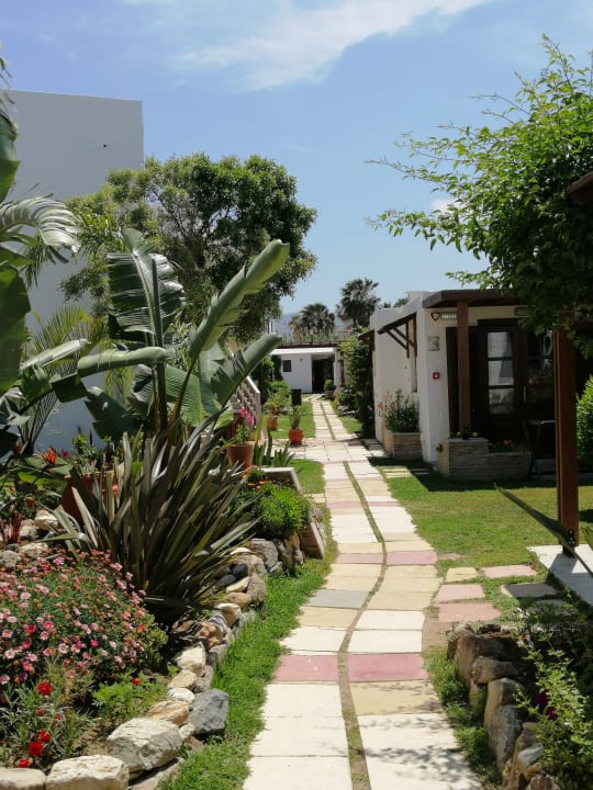 Gartenanlage Gaia Garden Hotel