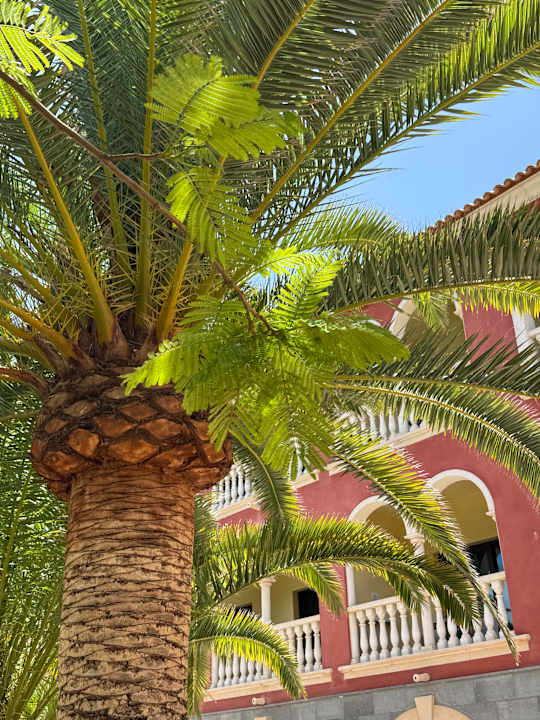 Außenansicht R2 Rio Calma Hotel & Spa & Conference
