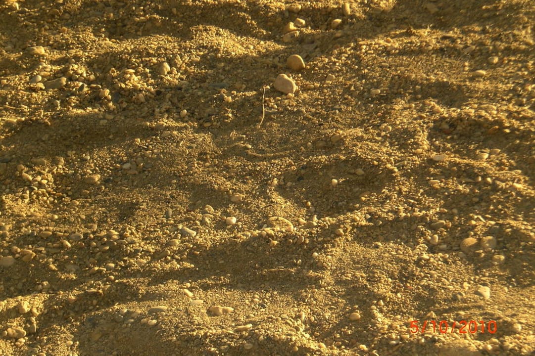 Kiesstrand Solivia Hotel