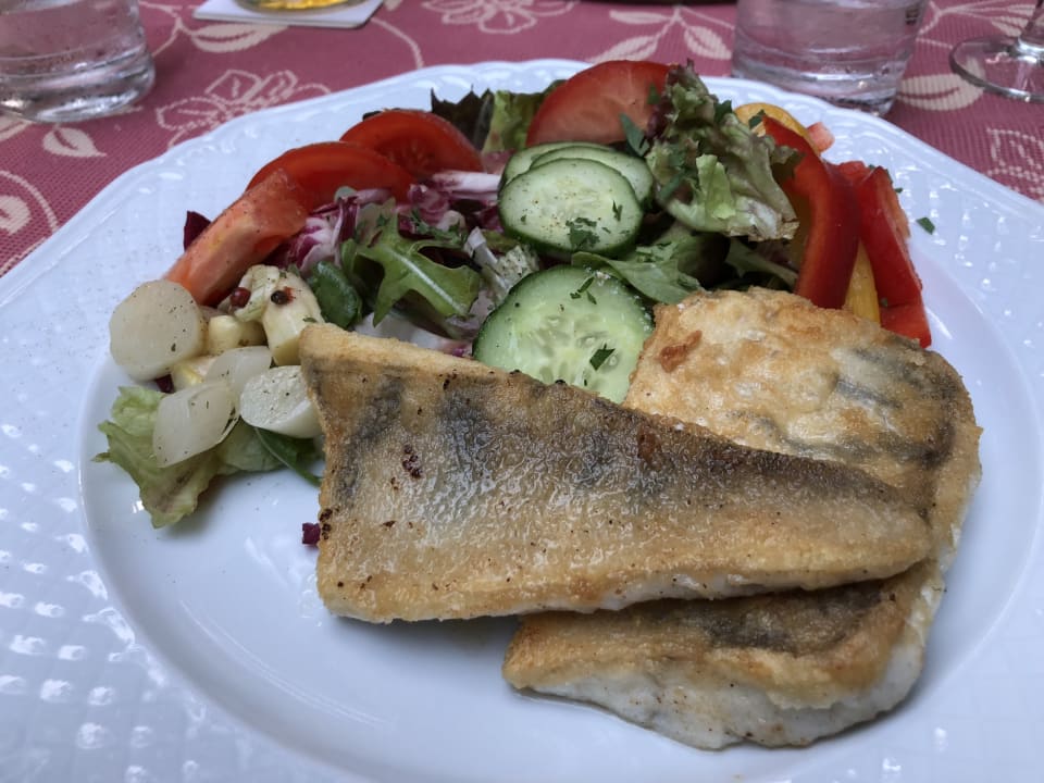 Gastro Hotel Luther Birke Wittenberg