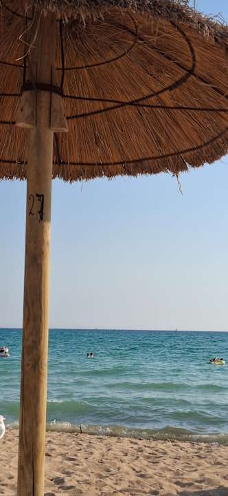 Strand allsun Hotel Pil-lari Playa