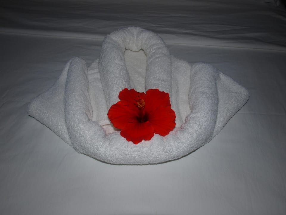 Handtuchfigur Merril's Beach Resort