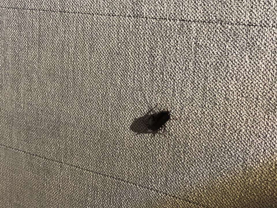 Zimmer Tulip Inn Ludwigshafen City