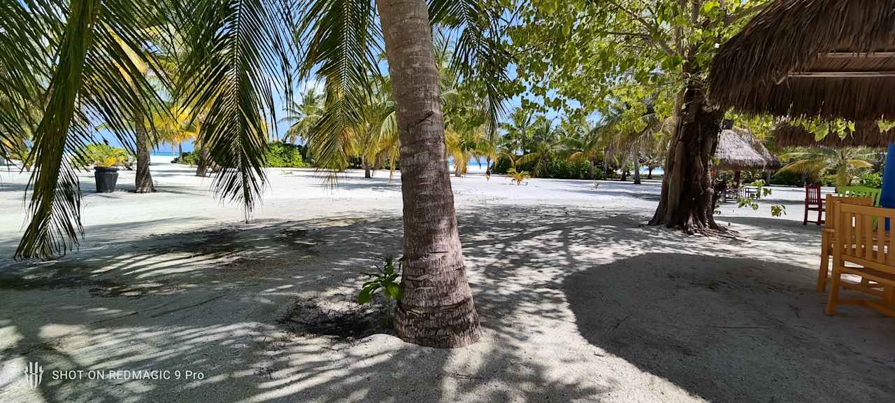Außenansicht Villa Park Sun Island