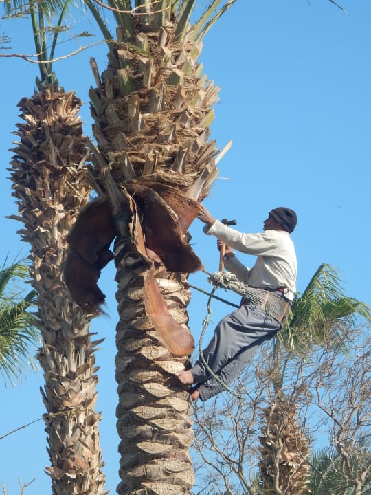 Gartenanlage The Grand Hotel Hurghada