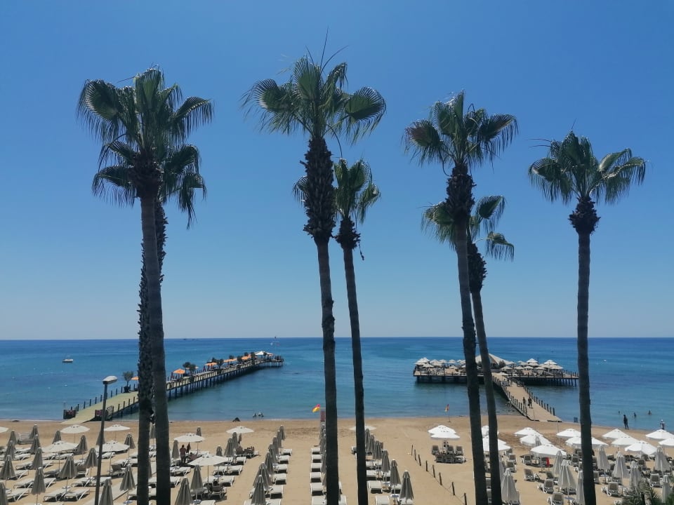 Ausblick Arum Barut Collection