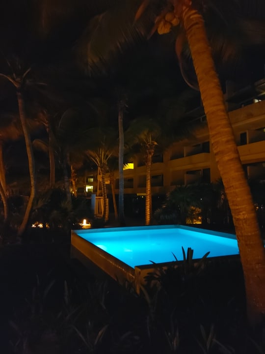 Gartenanlage Akumal Bay Beach & Wellness Resort