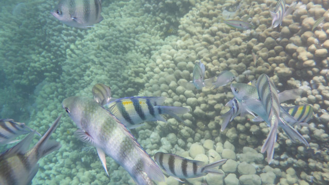 Sport & Freizeit Rohanou Beach Resort