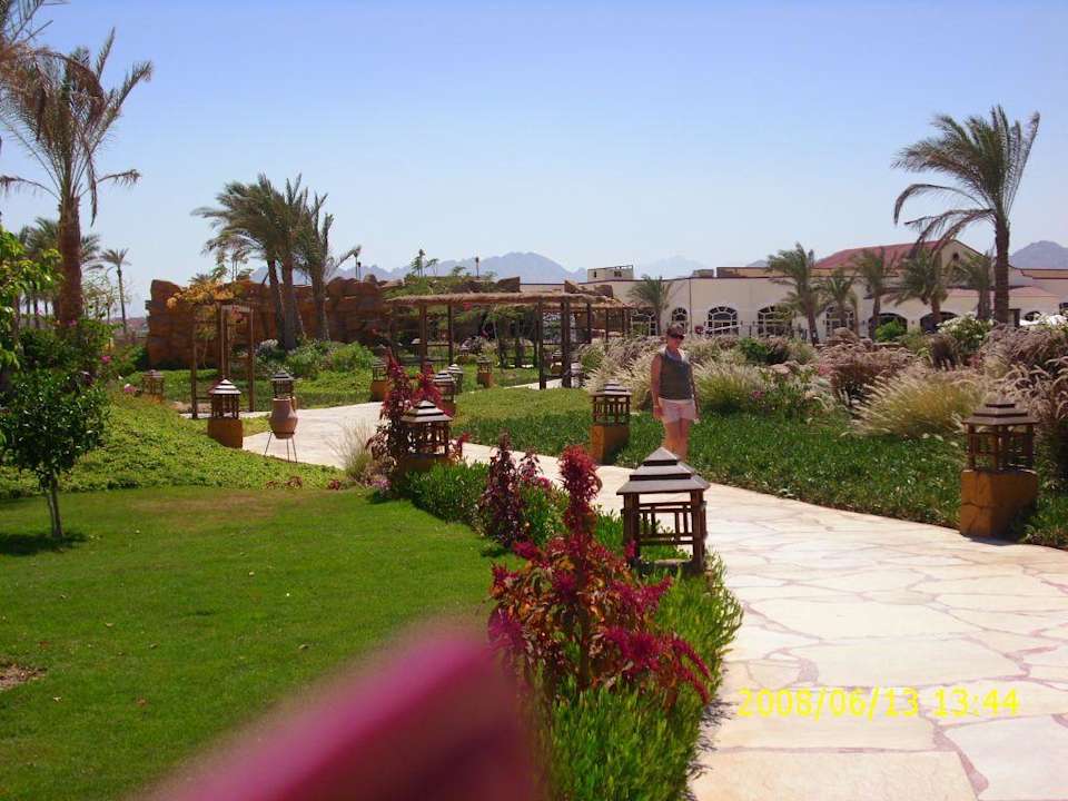 Ogród Regency Plaza Aqua Park & Spa