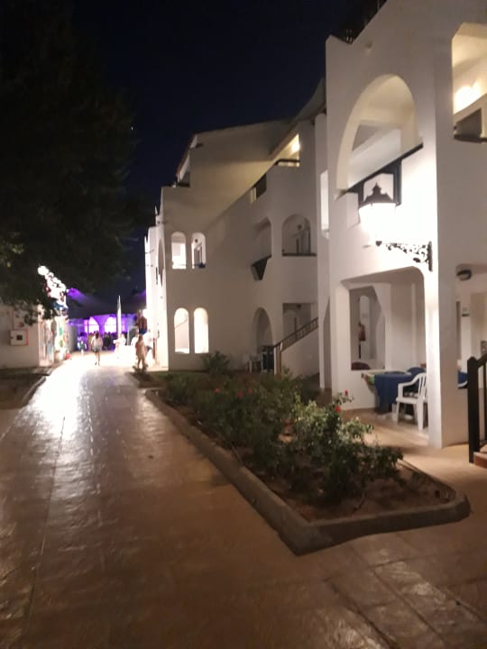 Gartenanlage Globales Bouganvilla