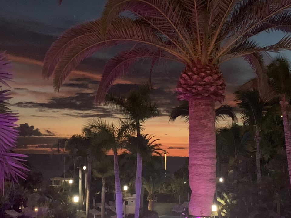 Ausblick Adrián Hoteles Jardines de Nivaria