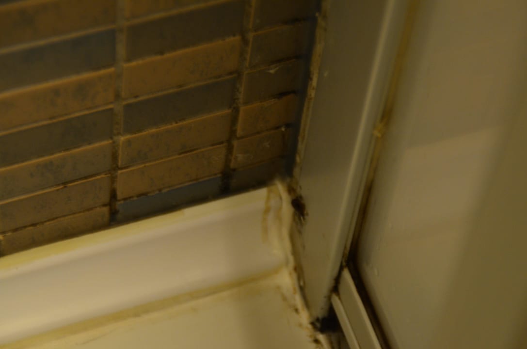 Duschkabine Bitez Garden Life