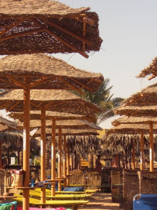 Strand Jaz Makadi Blue - TUI BLUE Makadi - Adults Friendly 16 Years Plus