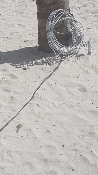 Strand Dreams Dominicus La Romana