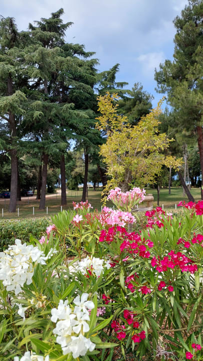 Strand Valamar Parentino Hotel