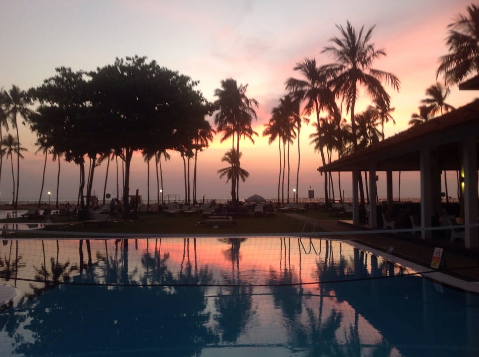 Sunset Club Hotel Dolphin