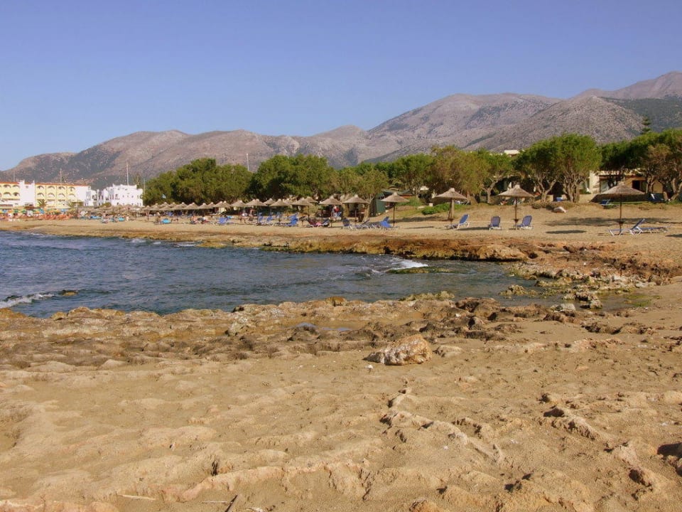 Plaża hotelu Cretan Malia Phãea Cretan Malia