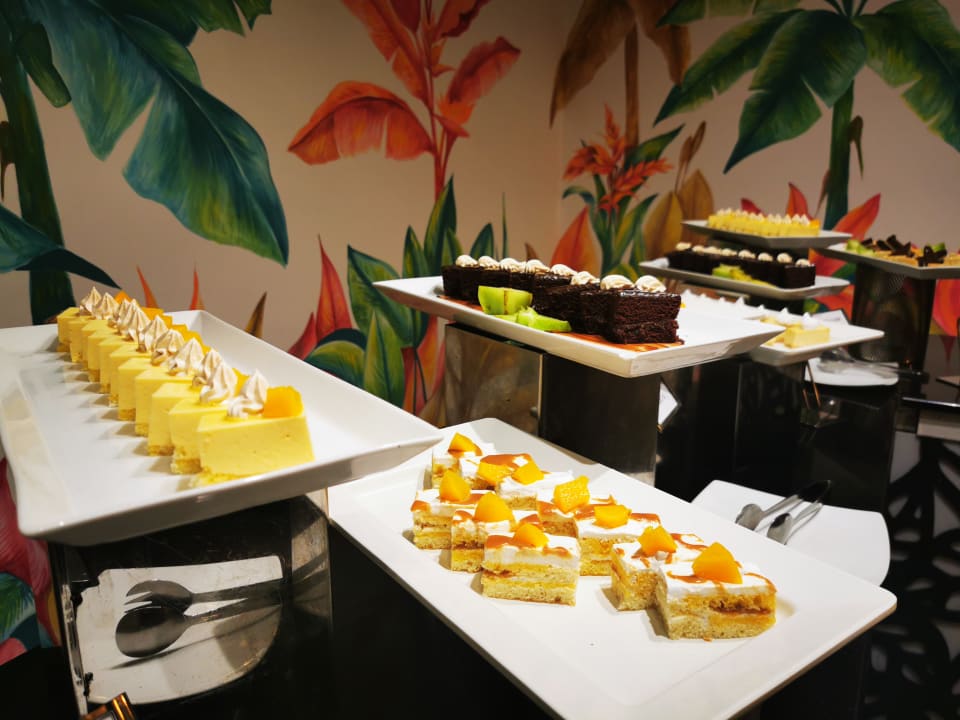 Gastro Club Hotel Dolphin