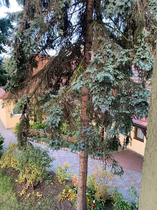 Gartenanlage Noclegi Jachtklub Elbląg