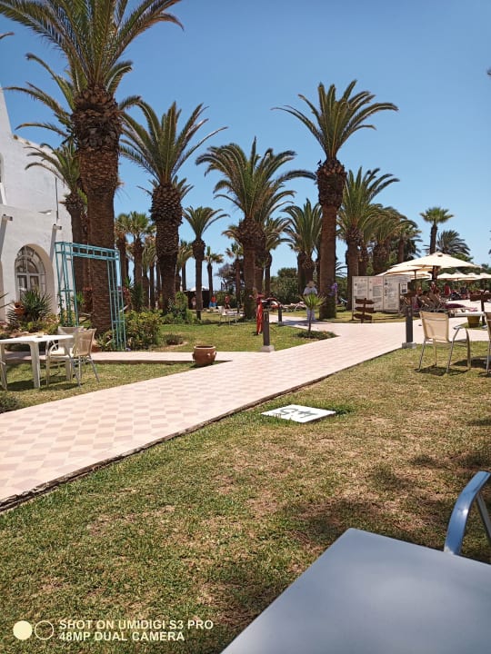 Gartenanlage Hotel Marhaba Beach