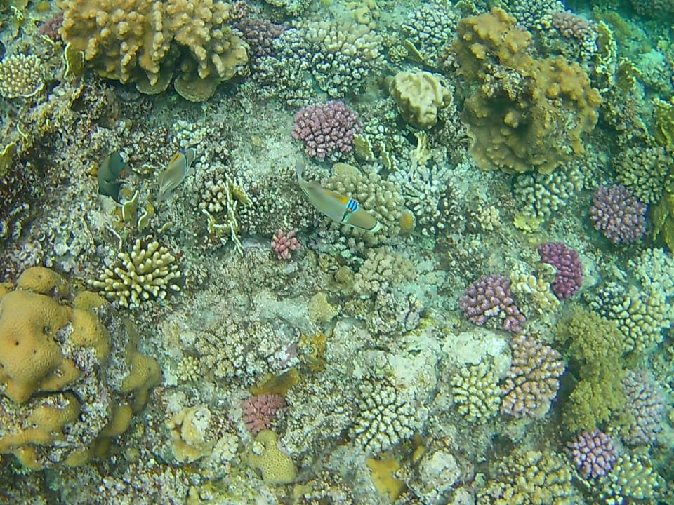 Strand Three Corners Sea Beach Resort