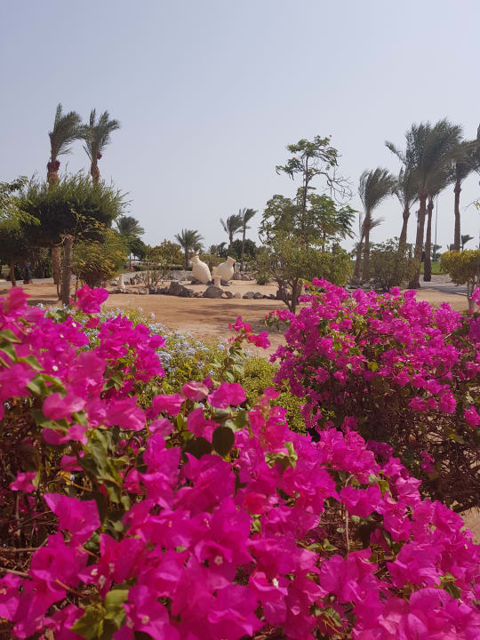 Strand Steigenberger Aqua Magic