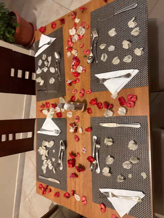 Gastro Coral Sun Beach