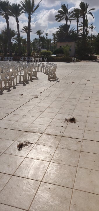 Pool Zita Beach Resort