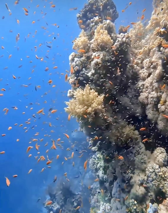 Sport & Freizeit Three Corners Happy Life Beach Resort