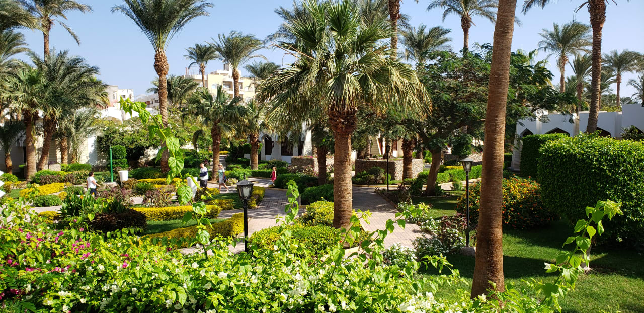 Gartenanlage Regina Resort and Aqua Park Hurghada
