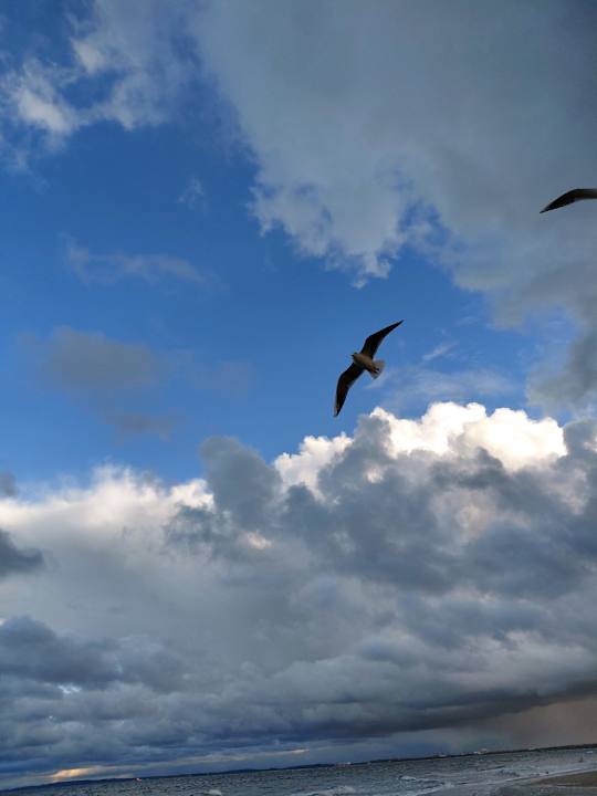 Sonstiges Strandhotel Heringsdorf