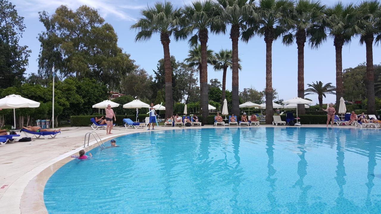 Pool Asteria Collection Side